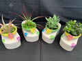 Ceramic Flip Flop Planters w Asst Succulents and Air Plants